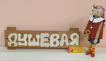 Табличка с названием средняя "Душевая"